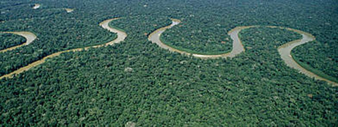 Deforestation in the Amazon causes land surfaces up to 100 kilometres away to get warmer, according to a new study by a team of British and Brazilian scientists. The research led by Dr. Edward Butt at the University of Leeds underscores the vital role played by tropical forests in cooling the Earth's surface and highlights the far-reaching consequences of deforestation.