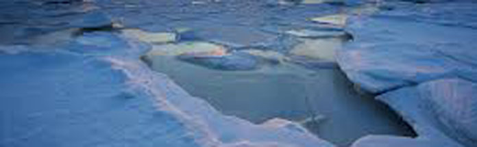 India and Its Arctic Policy