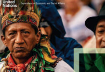 UN report shows Indigenous People get less than 1% of climate funds despite saving 80% of biodiversity.